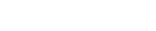 Havoc Logo